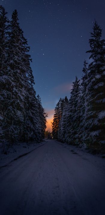 winter road, night Wallpaper 1080x2220