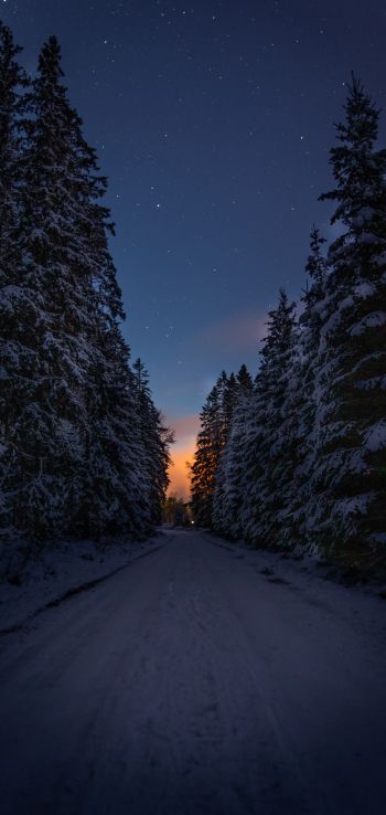 winter road, night Wallpaper 1080x2280