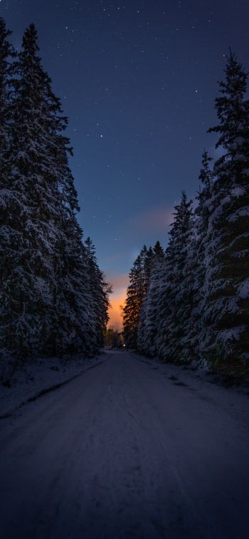 winter road, night Wallpaper 1170x2532