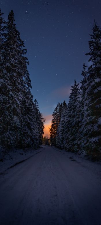 winter road, night Wallpaper 720x1600