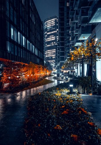 night city streets of the city streets of the city skyscrapers Wallpaper 1668x2388