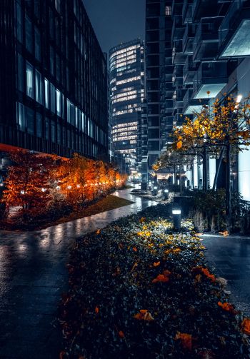 night city streets of the city streets of the city skyscrapers Wallpaper 1640x2360