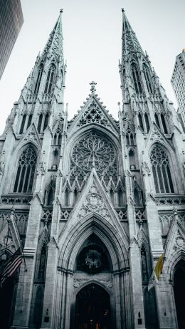 St. Patrick's Cathedral, New York, USA Wallpaper 750x1334