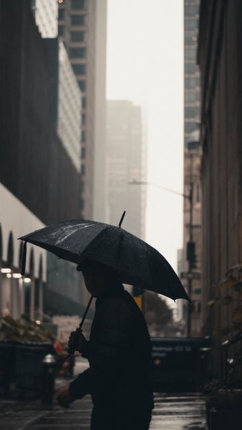 Обои 640x1136 Нью-Йорк, Нью-Йорк, Э. UU. Нью-Йорк уличная фотография  новый Нью-Йорк зонтик человек мегаполис город дождь