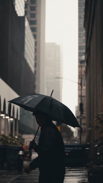 New York, New York, E. UU. New york city street photography new new york city umbrella man metropolis city rain Wallpaper 640x1136