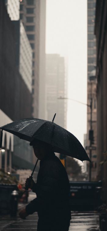 Обои 1170x2532 Нью-Йорк, Нью-Йорк, Э. UU. Нью-Йорк уличная фотография  новый Нью-Йорк зонтик человек мегаполис город дождь