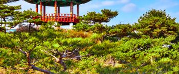 ечхон, south korea jecheon-si south korea tower architecture guard korea temple gazebo plant japan kyoto outdoor china open south korea Wallpaper 3440x1440