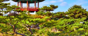 Обои 2560x1080 ечхон, Южная Корея Чечхон-Си Южная Корея башня архитектура сторожить Корея храм беседка растение Япония Киото открытый Китай открытый юг Корея