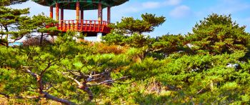 ечхон, south korea jecheon-si south korea tower architecture guard korea temple gazebo plant japan kyoto outdoor china open south korea Wallpaper 2560x1080