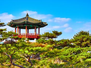 ечхон, south korea jecheon-si south korea tower architecture guard korea temple gazebo plant japan kyoto outdoor china open south korea Wallpaper 1024x768