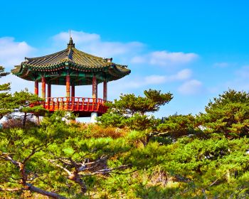 Обои 1280x1024 ечхон, Южная Корея Чечхон-Си Южная Корея башня архитектура сторожить Корея храм беседка растение Япония Киото открытый Китай открытый юг Корея