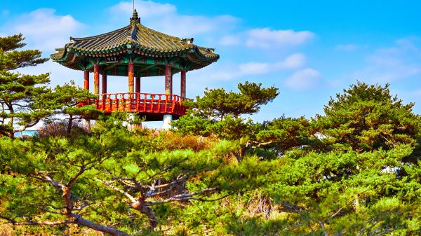 ечхон, south korea jecheon-si south korea tower architecture guard korea temple gazebo plant japan kyoto outdoor china open south korea Wallpaper 2048x1152