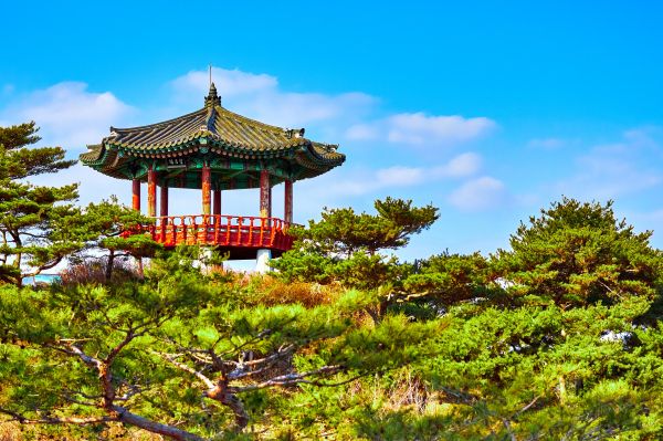 ечхон, south korea jecheon-si south korea tower architecture guard korea temple gazebo plant japan kyoto outdoor china open south korea Wallpaper 4679x3119