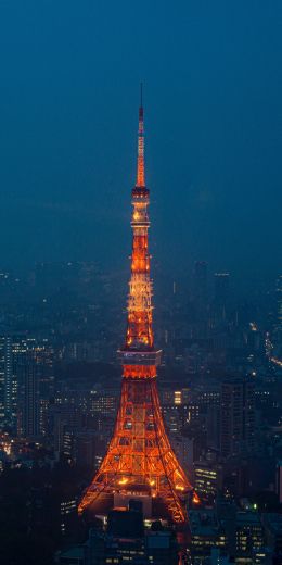 Tokyo Tower, Tokyo, Japan Wallpaper 720x1440