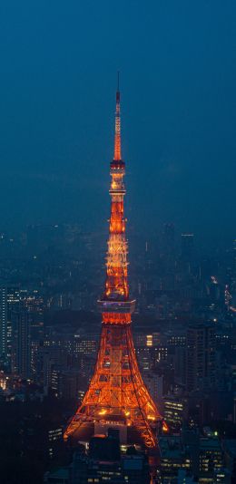 Обои 1080x2220 Телевизионная башня Токио, Токио, Япония