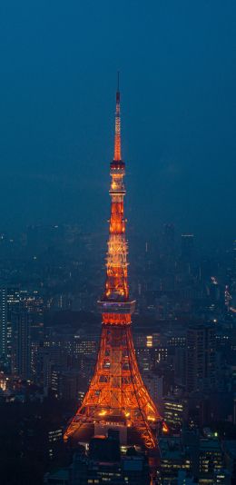 Tokyo Tower, Tokyo, Japan Wallpaper 1440x2960