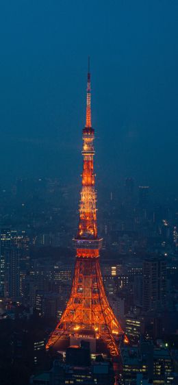 Tokyo Tower, Tokyo, Japan Wallpaper 1284x2778