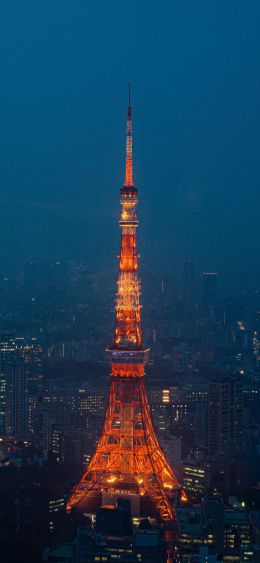 Обои 1080x2340 Телевизионная башня Токио, Токио, Япония