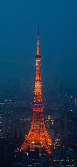 Tokyo Tower, Tokyo, Japan Wallpaper 1080x2340