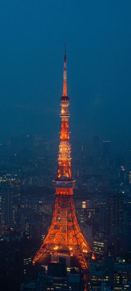 Tokyo Tower, Tokyo, Japan Wallpaper 720x1600