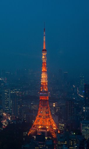 Tokyo Tower, Tokyo, Japan Wallpaper 1200x2000