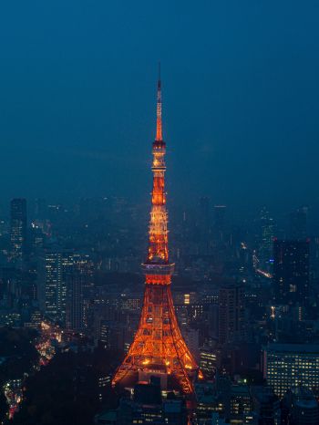 Обои 1536x2048 Телевизионная башня Токио, Токио, Япония