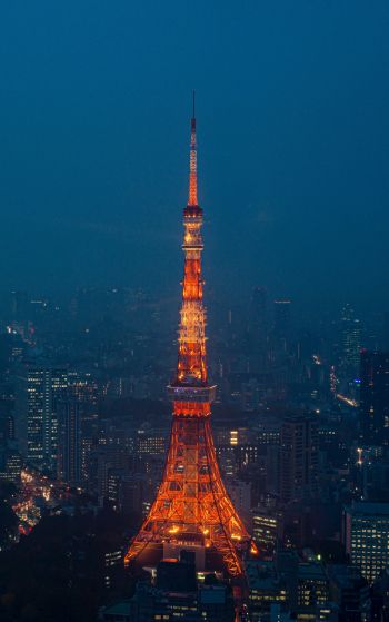 Обои 1752x2800 Телевизионная башня Токио, Токио, Япония