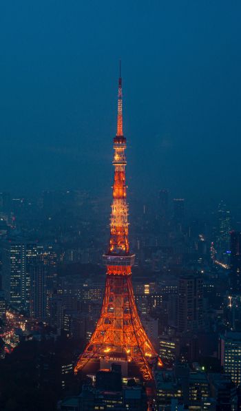 Обои 600x1024 Телевизионная башня Токио, Токио, Япония
