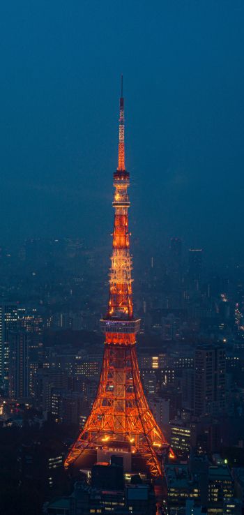Tokyo Tower, Tokyo, Japan Wallpaper 1440x3040