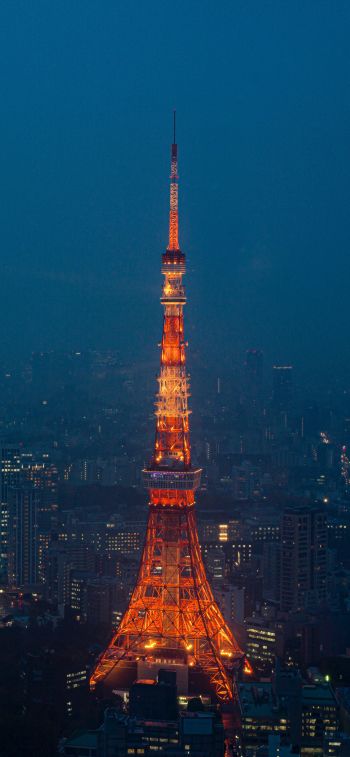 Обои 1284x2778 Телевизионная башня Токио, Токио, Япония