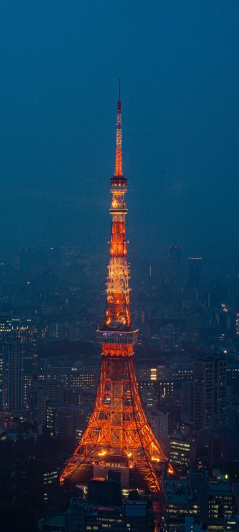 Обои 1440x3200 Телевизионная башня Токио, Токио, Япония