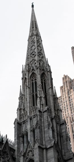 St. Patrick's Cathedral, New York, USA Wallpaper 1080x2340