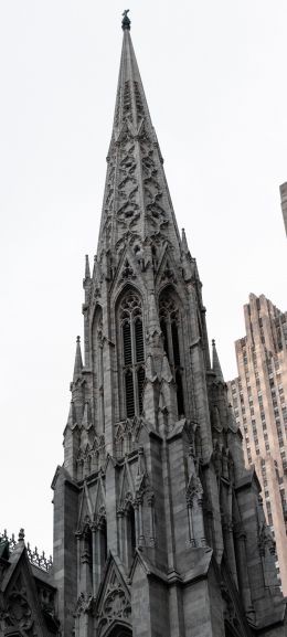 St. Patrick's Cathedral, New York, USA Wallpaper 1440x3200