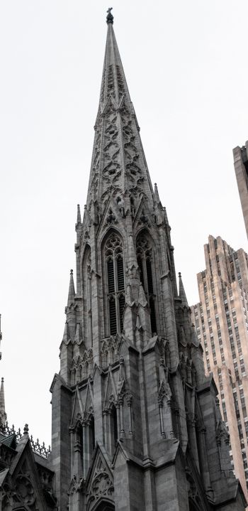 St. Patrick's Cathedral, New York, USA Wallpaper 1080x2220