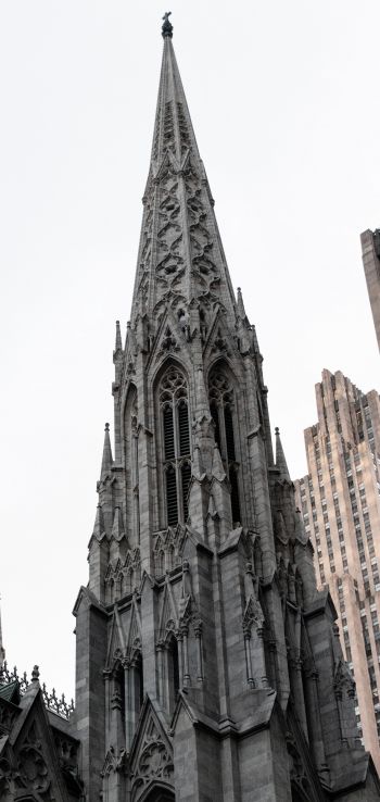 St. Patrick's Cathedral, New York, USA Wallpaper 1080x2280
