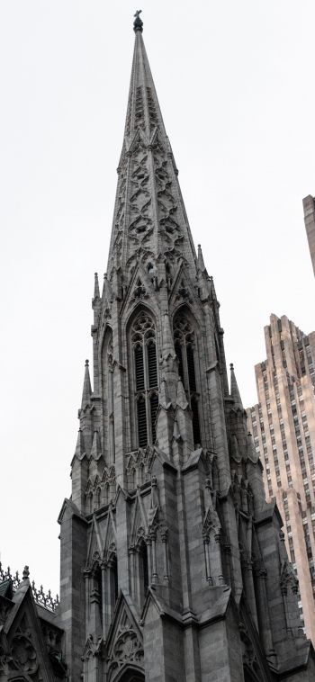 St. Patrick's Cathedral, New York, USA Wallpaper 1080x2340