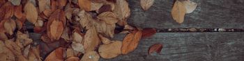 autumn, leaves, yellow leaf Wallpaper 1590x400