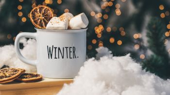 winter, marshmallows, mug, cocoa, cover, lights Wallpaper 2560x1440