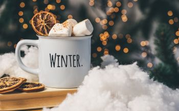 winter, marshmallows, mug, cocoa, cover, lights Wallpaper 2560x1600