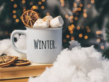 winter, marshmallows, mug, cocoa, cover, lights Wallpaper 800x600
