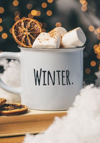 winter, marshmallows, mug, cocoa, cover, lights Wallpaper 1668x2388