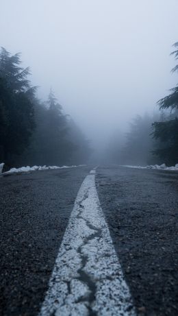 road, fog, forest, snow Wallpaper 640x1136