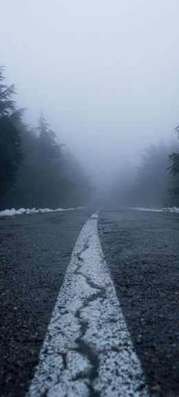 Обои 1440x3200 дорога, туман, лес, снег