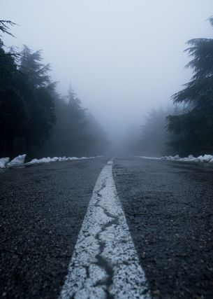 road, fog, forest, snow Wallpaper 3631x5095