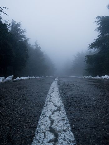 road, fog, forest, snow Wallpaper 2048x2732