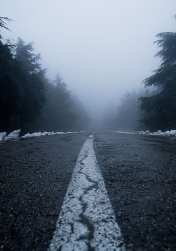 Обои 1668x2388 дорога, туман, лес, снег