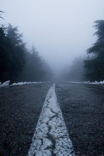 Обои 640x960 дорога, туман, лес, снег