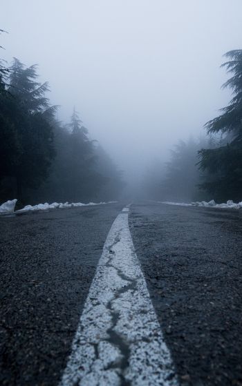 Обои 1752x2800 дорога, туман, лес, снег