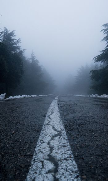road, fog, forest, snow Wallpaper 1200x2000