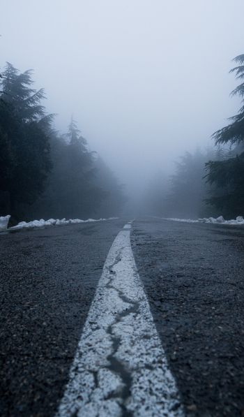 Обои 600x1024 дорога, туман, лес, снег